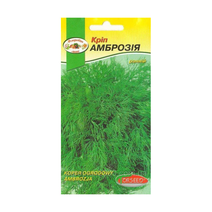 Ambrozja / Амброзія