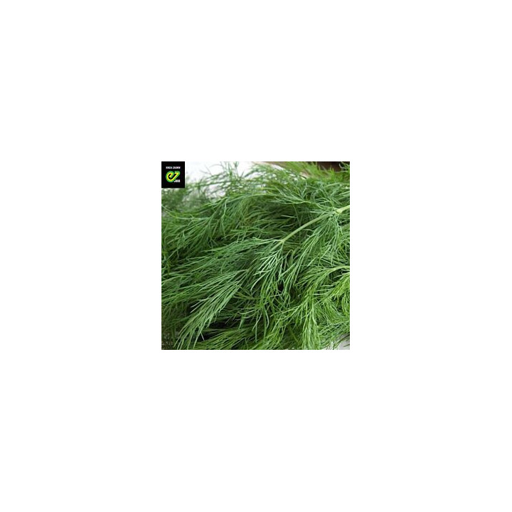 Green Sleeves / Грін Слівс