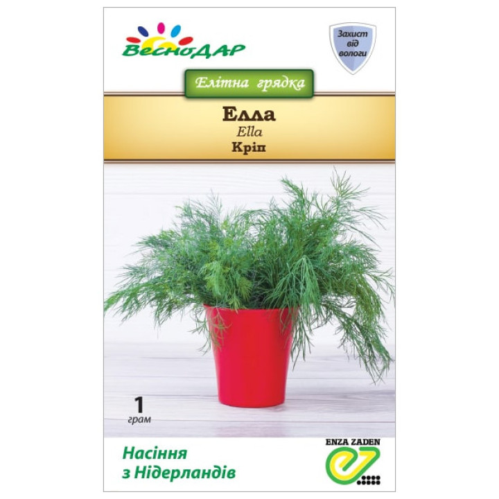 Ella / Елла