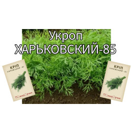 Харьковский 85 / Харківський 85