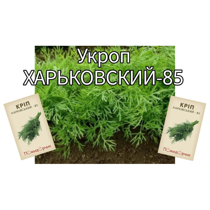 Харьковский 85 / Харківський 85