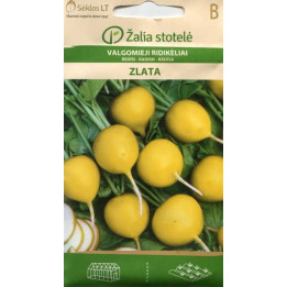 Zlata / Злата