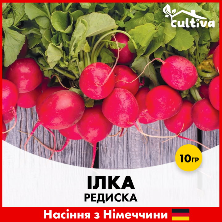 Илка / Ілка
