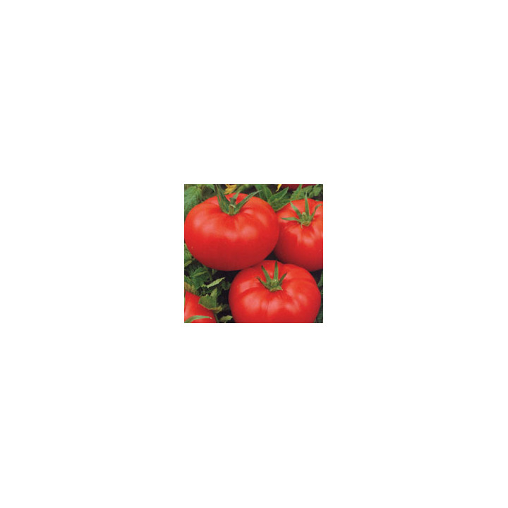 Ля-ля-фа F1