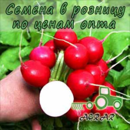 Романо