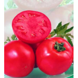 AйшаF1