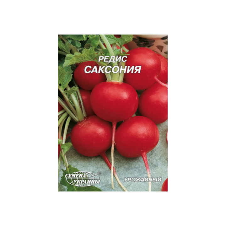 Saxoniya / Саксонія