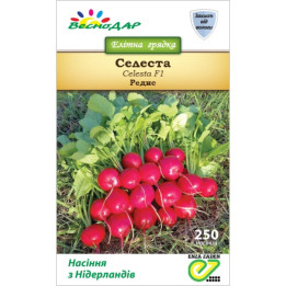 Celesta / Селеста