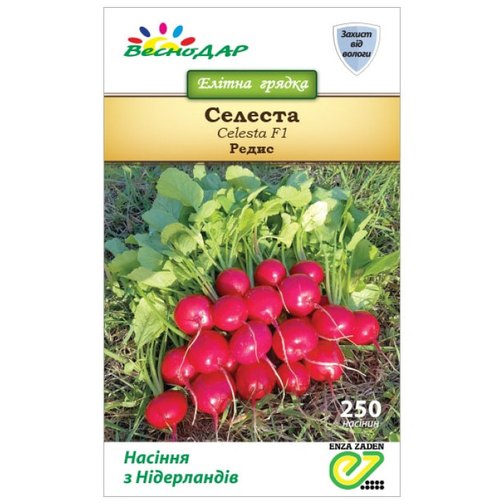Celesta / Селеста
