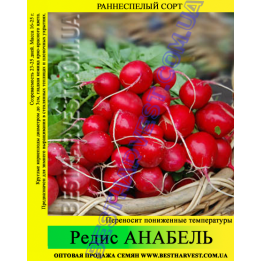 Аnnabel / Аннабель