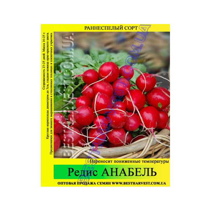Аnnabel / Аннабель