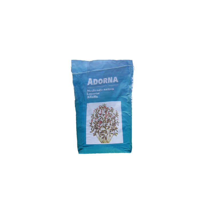 Adorna / Адорна