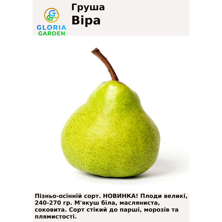 Віра