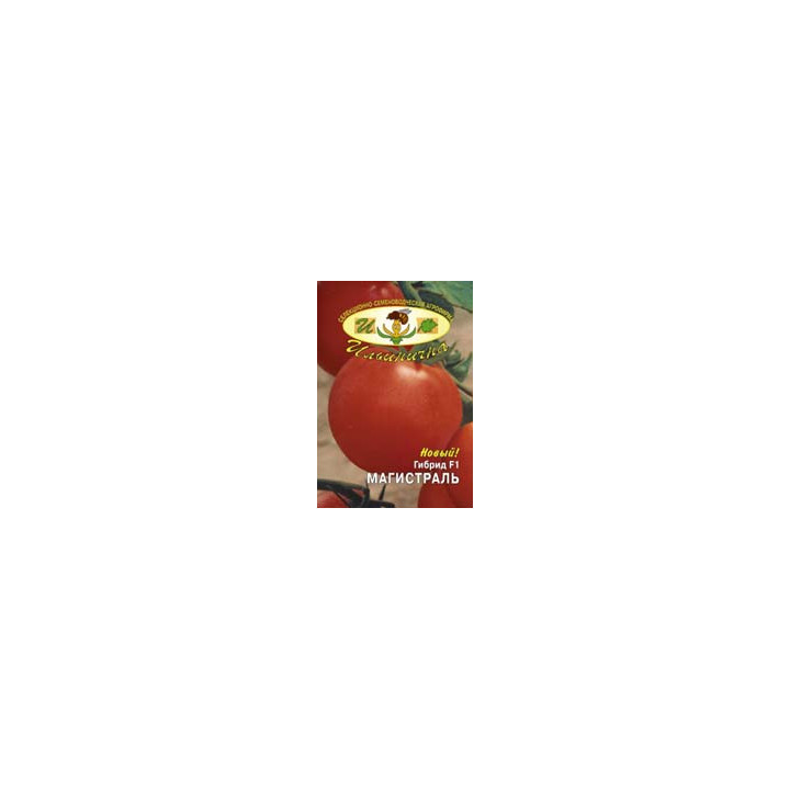 МАГИСТРАЛЬ F1