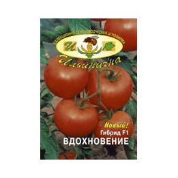 ВДОХНОВЕНИЕ F1