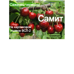 VSL 2.3 / ВСЛ 2.3