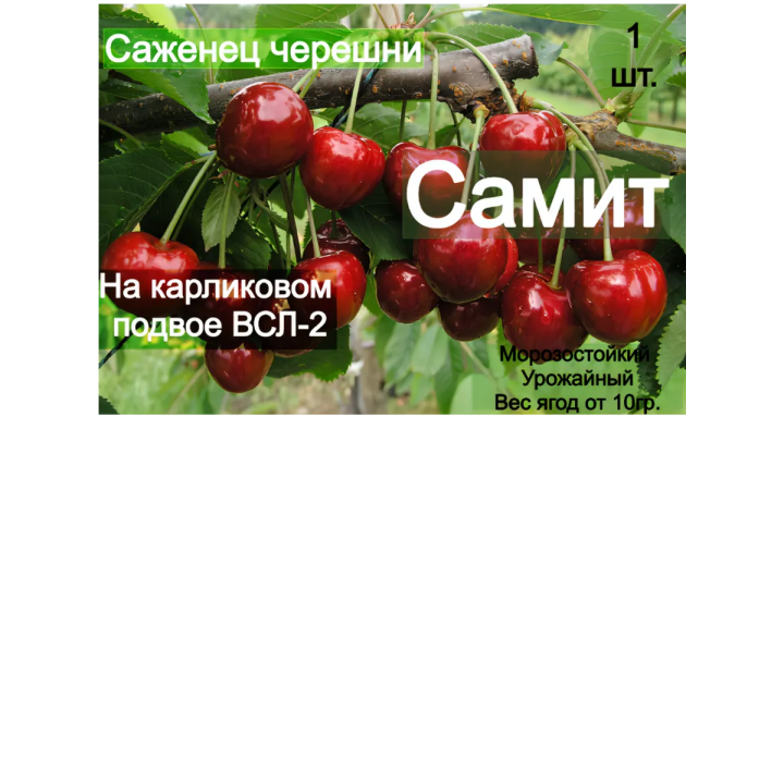 VSL 2.3 / ВСЛ 2.3