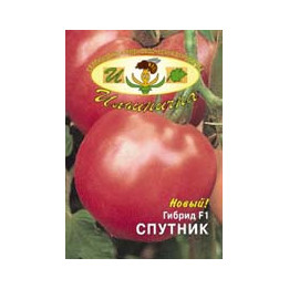 СПУТНИК F1