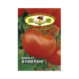 Бумеранг F1