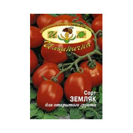 ЗЕМЛЯК