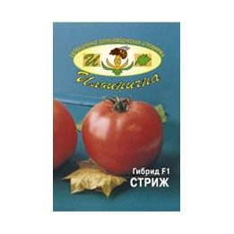 СТРИЖ F1