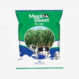 Mega Sweet / Мега Світ
