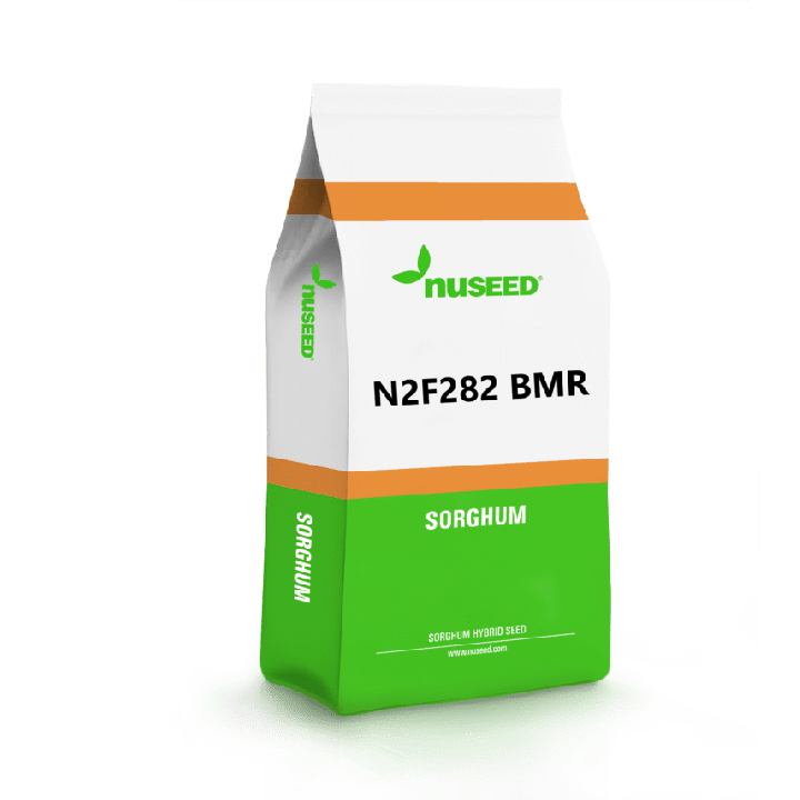 N2F282 BMR / Н2Ф282 БМР