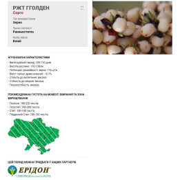 RGT GGOLDEN / РЖТ ГГОЛДЕН
