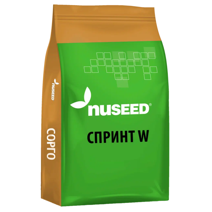 Sprint II / Спринт 2