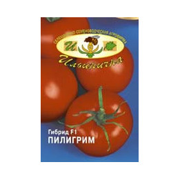 ПИЛИГРИМ F1