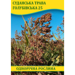 Голубівська 25