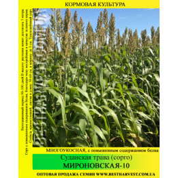 Мироновская 36 / Миронівська 36