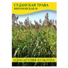 Мироновская 10 / Миронівська 10