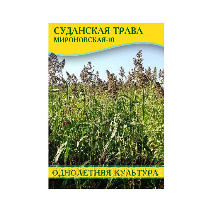 Мироновская 10 / Миронівська 10