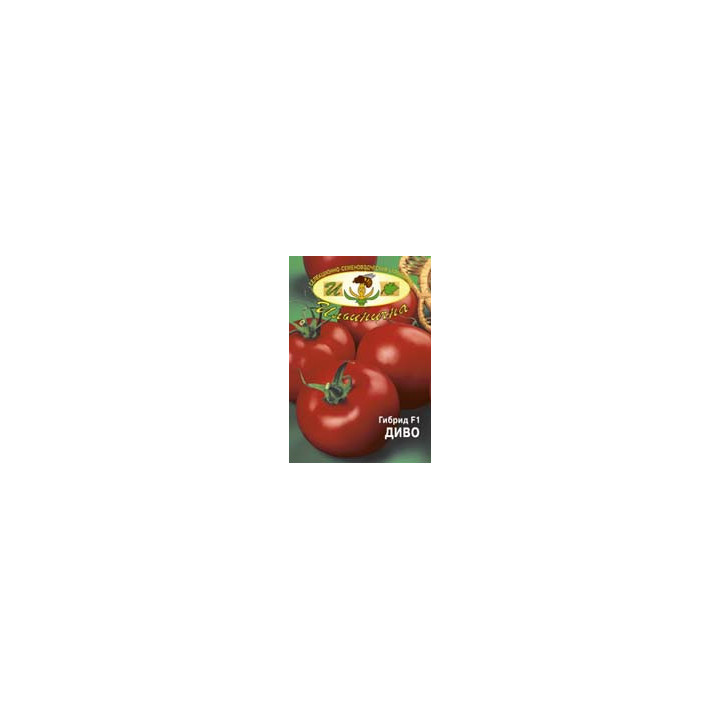 ДИВО F1