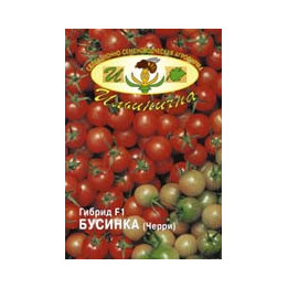 БУСИНКА F1