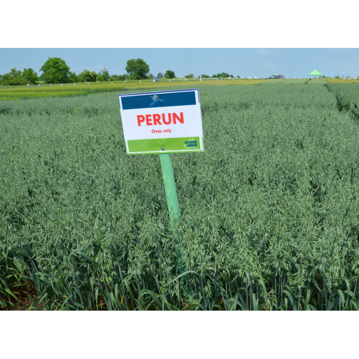 Perun / Перун