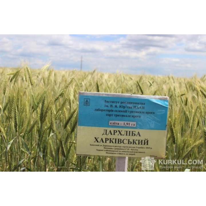 Свобода харківська