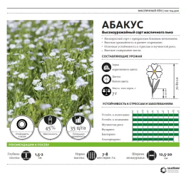 Abacus / Абакус