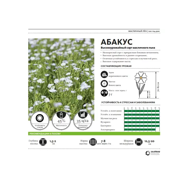 Abacus / Абакус