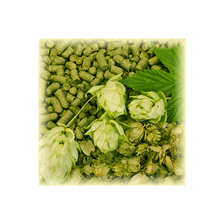 Northern Brewer Bel / Норден Бревер Бел