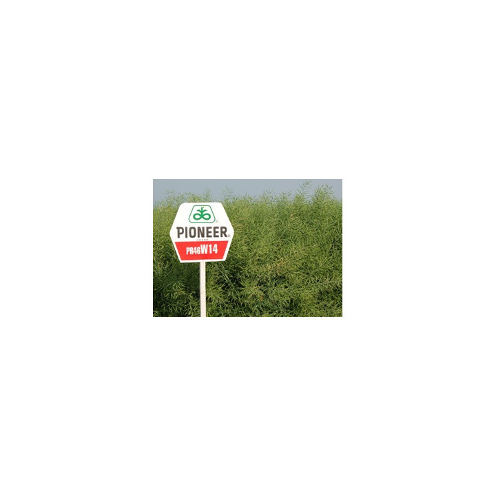 ПР46В14 / PR46W14