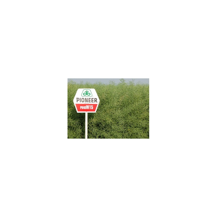 ПР46В15 / PR46W15