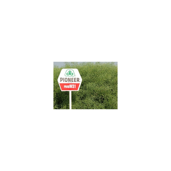 ПР46В31 / PR46W31