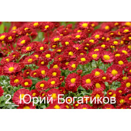 Прометей