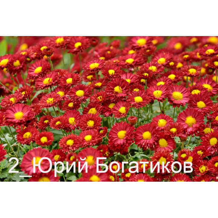 Прометей