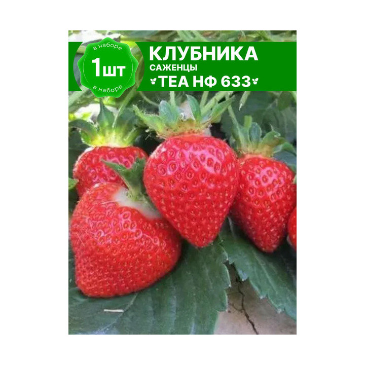 NF633 / НФ633
