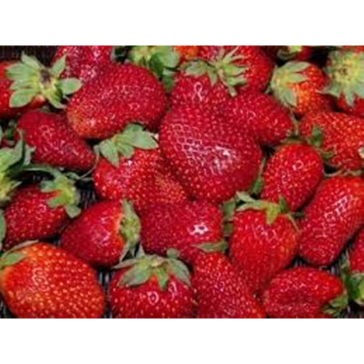 DrisStrawFiftySeven / ДрісСтроуФіфтіСевен