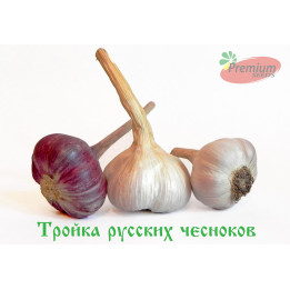 Тройка