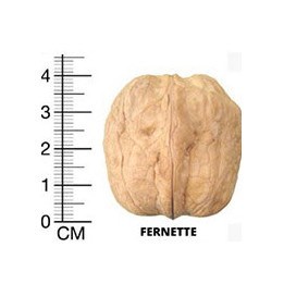 Фернет